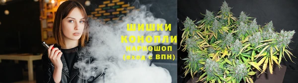 mdpv Богородицк