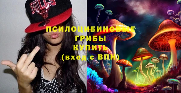 метадон Богданович